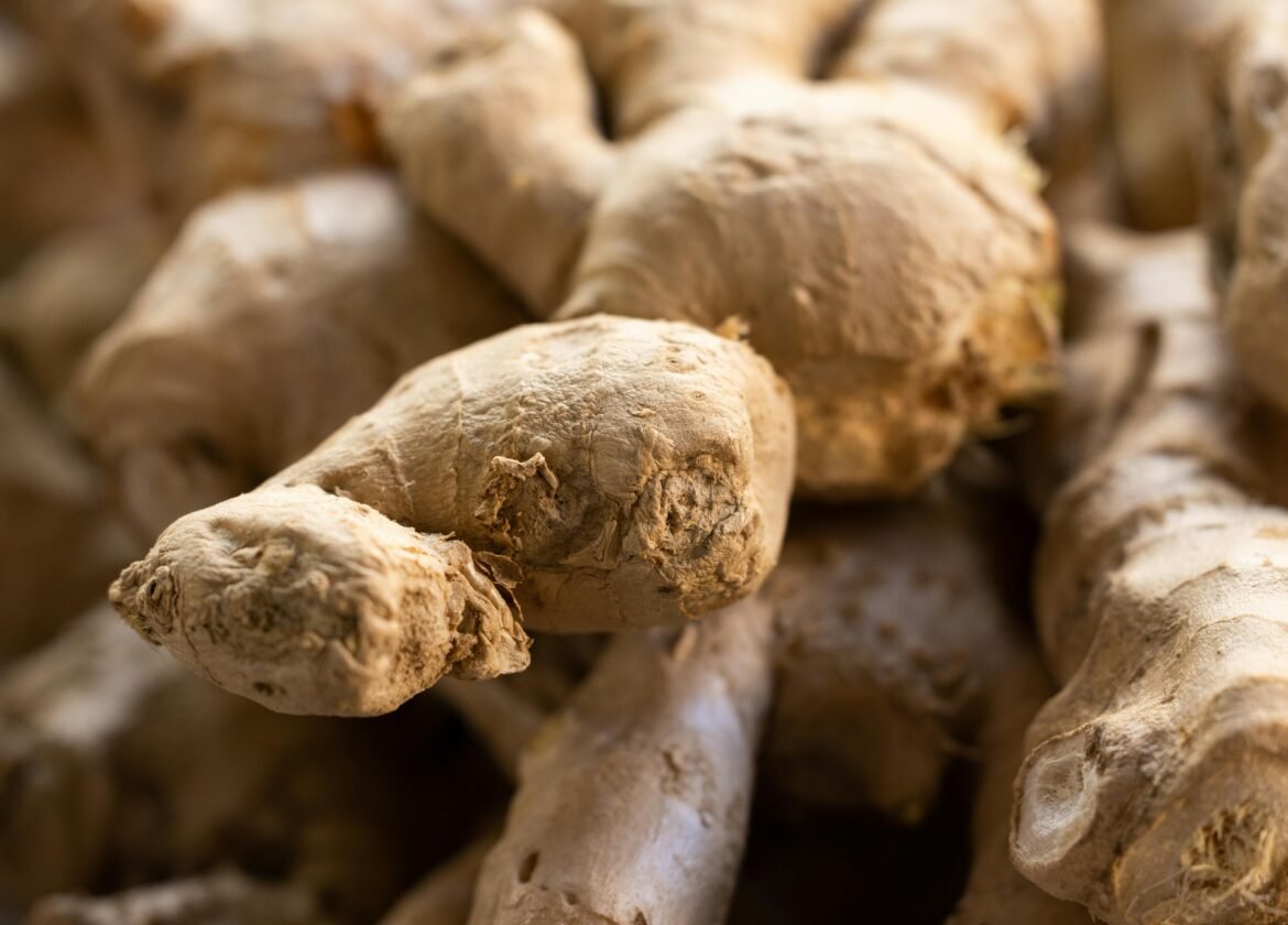 Detailed view of fresh raw ginger roots, showcasing texture and earthy tones. Ideal for food themes.
