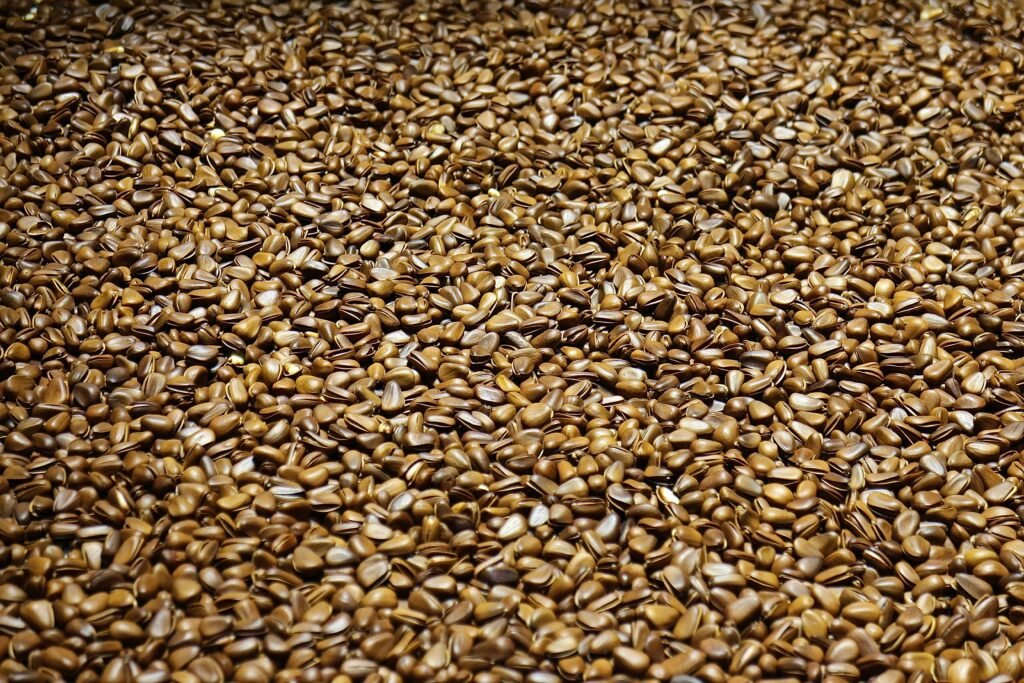 Close-up of scattered brown flax seeds creating a natural pattern.