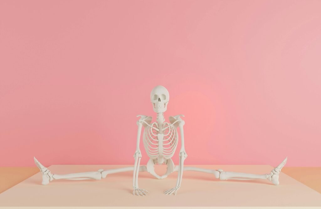 A human skeleton model does a split against a pink backdrop, showcasing flexibility.