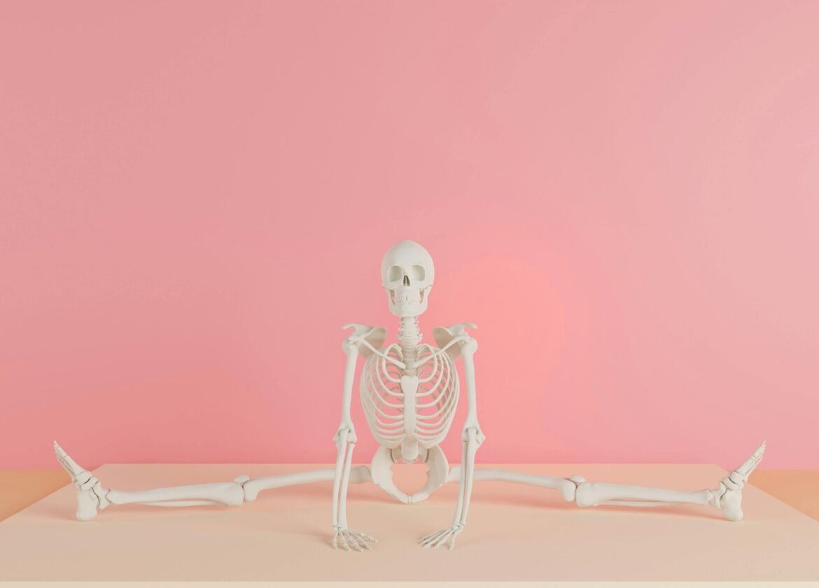 A human skeleton model does a split against a pink backdrop, showcasing flexibility.