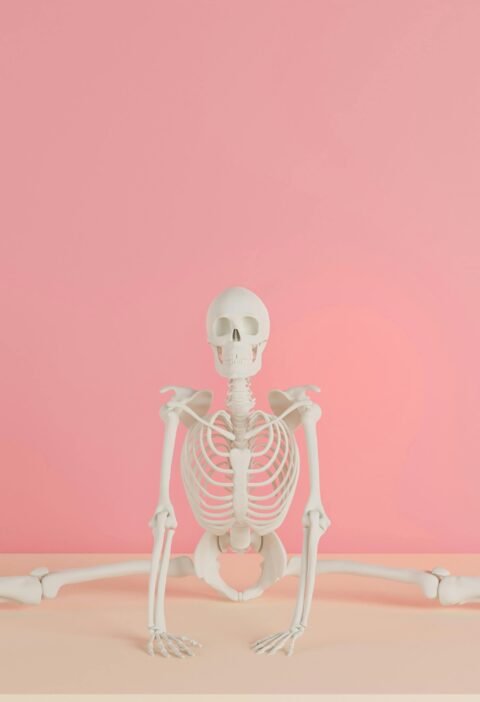 A human skeleton model does a split against a pink backdrop, showcasing flexibility.