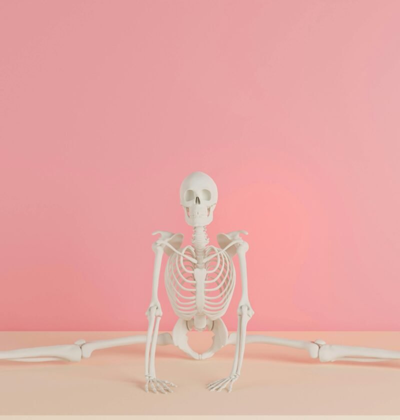 A human skeleton model does a split against a pink backdrop, showcasing flexibility.
